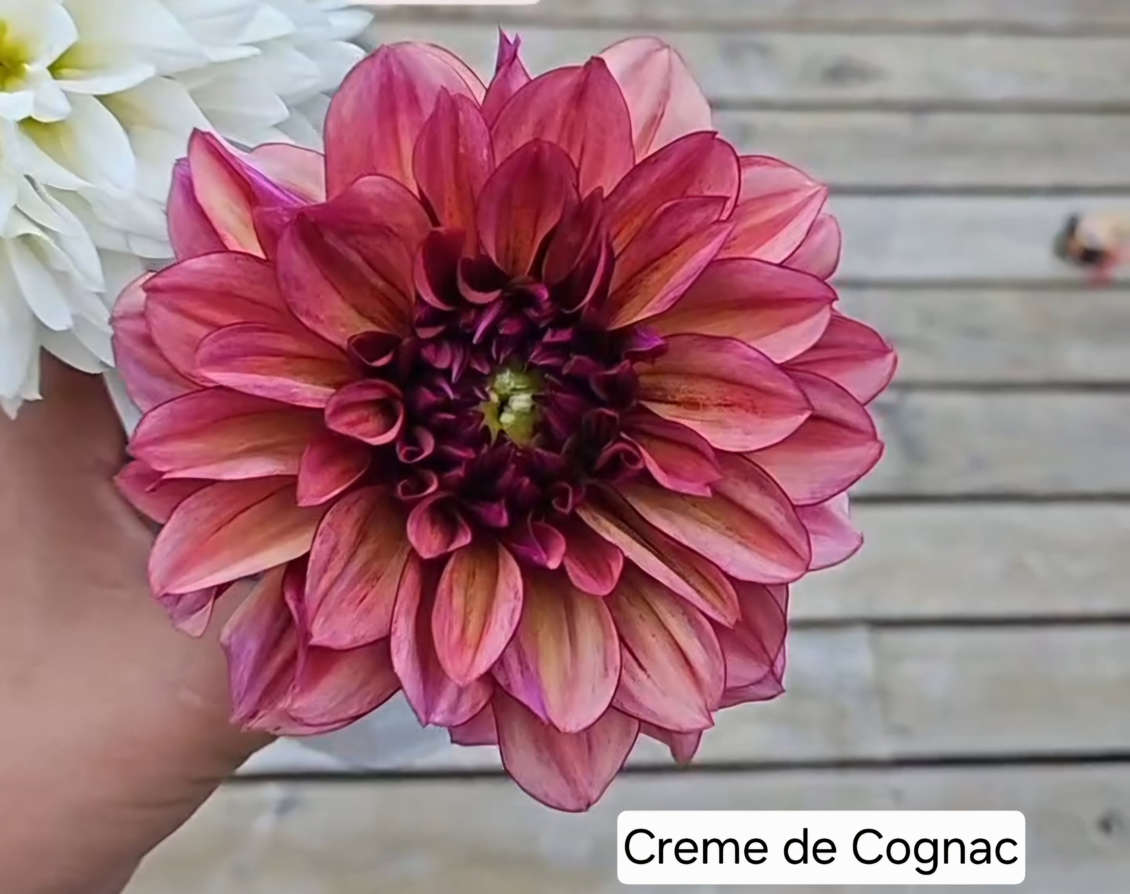 Creme De Cognac