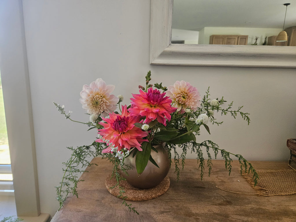 Just Peachey Dahlia tuber